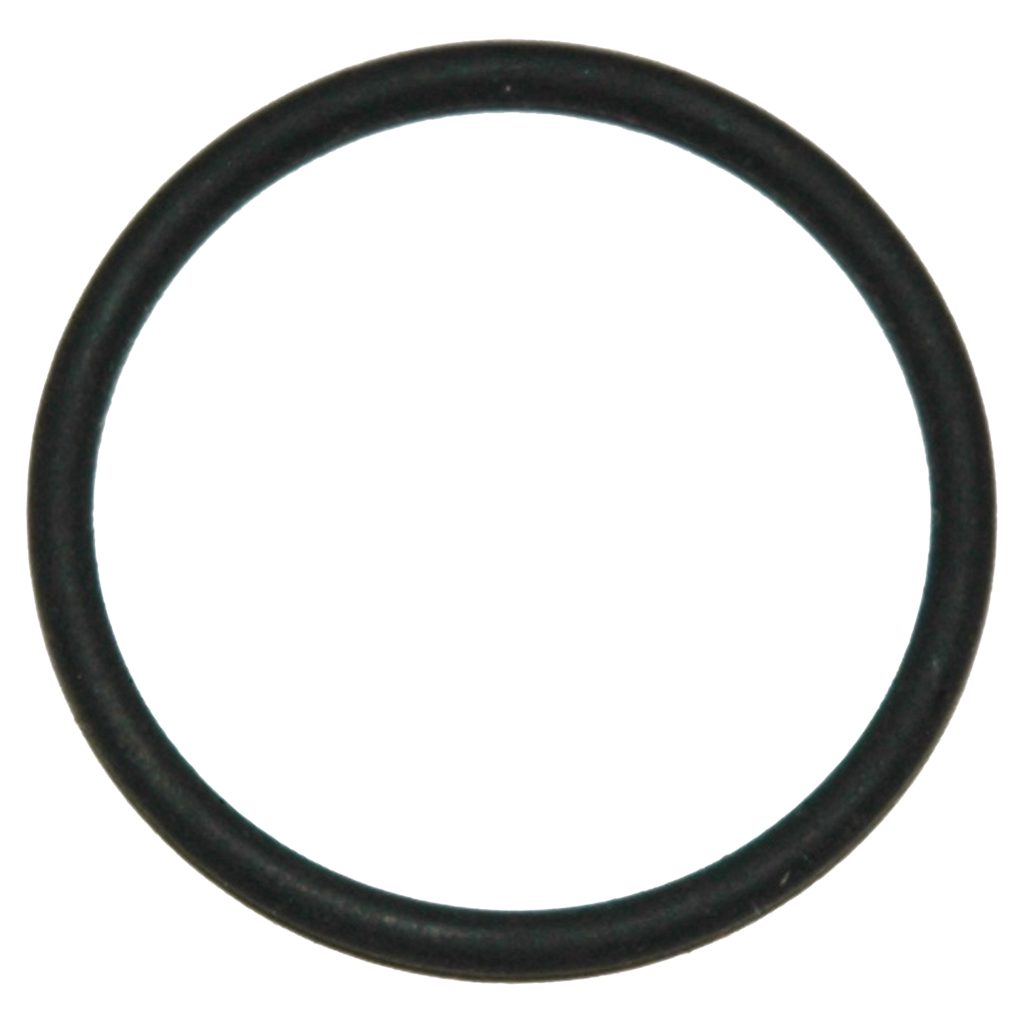 Viton(R) O-Ring for the B15 General-Purpose