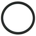 Viton(R) O-Ring for the B15 General-Purpose