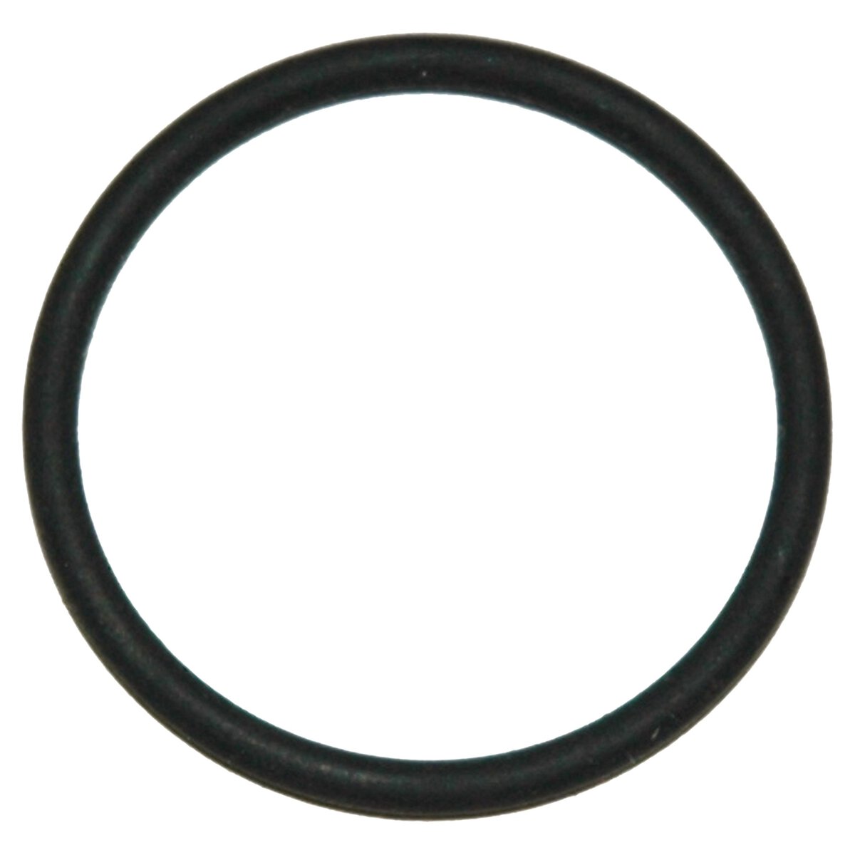 Viton(R) O-Ring for the B15 General-Purpose - Image 1