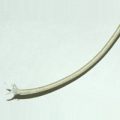 Heater Band & Cartridge Heater Wire, TGGT, Code C, 600V, 12 AWG