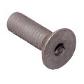 Hold Down Bolt, Flat Head Socket Screw